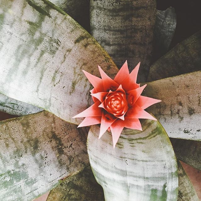 Loving the splash of color.